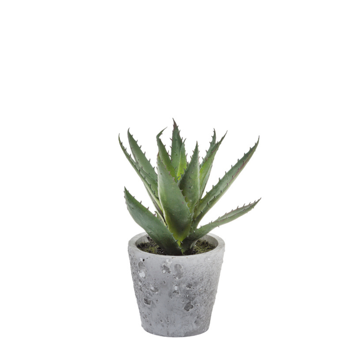 Succulente Artificielle Aloe Vera en Pot