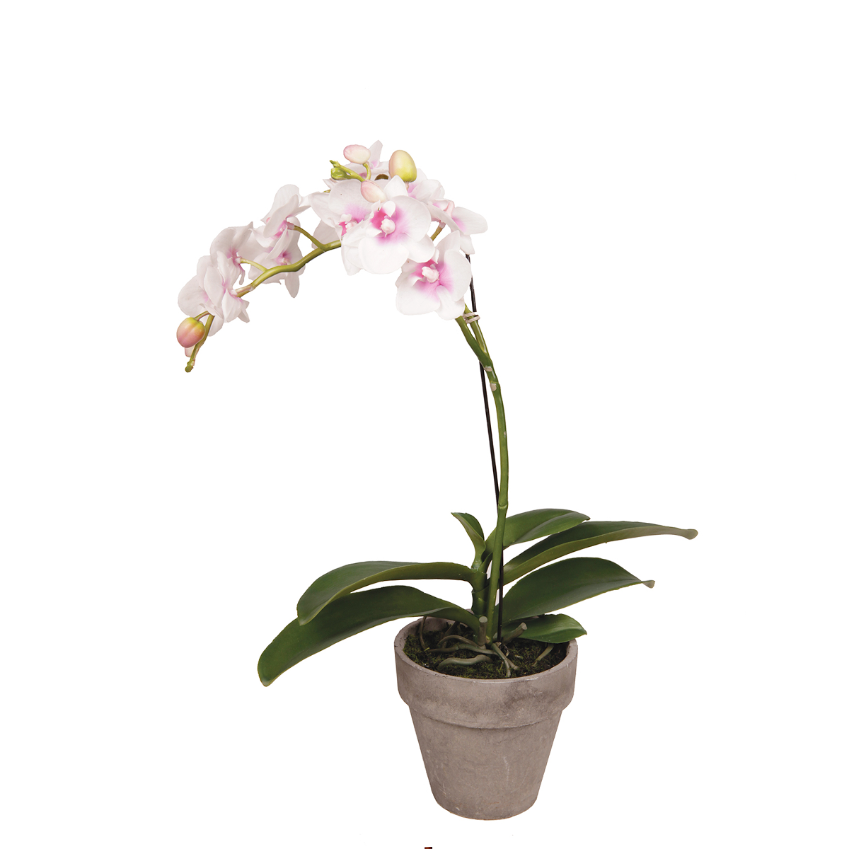 Orchidée Artificielle Dendrobium Moyen format