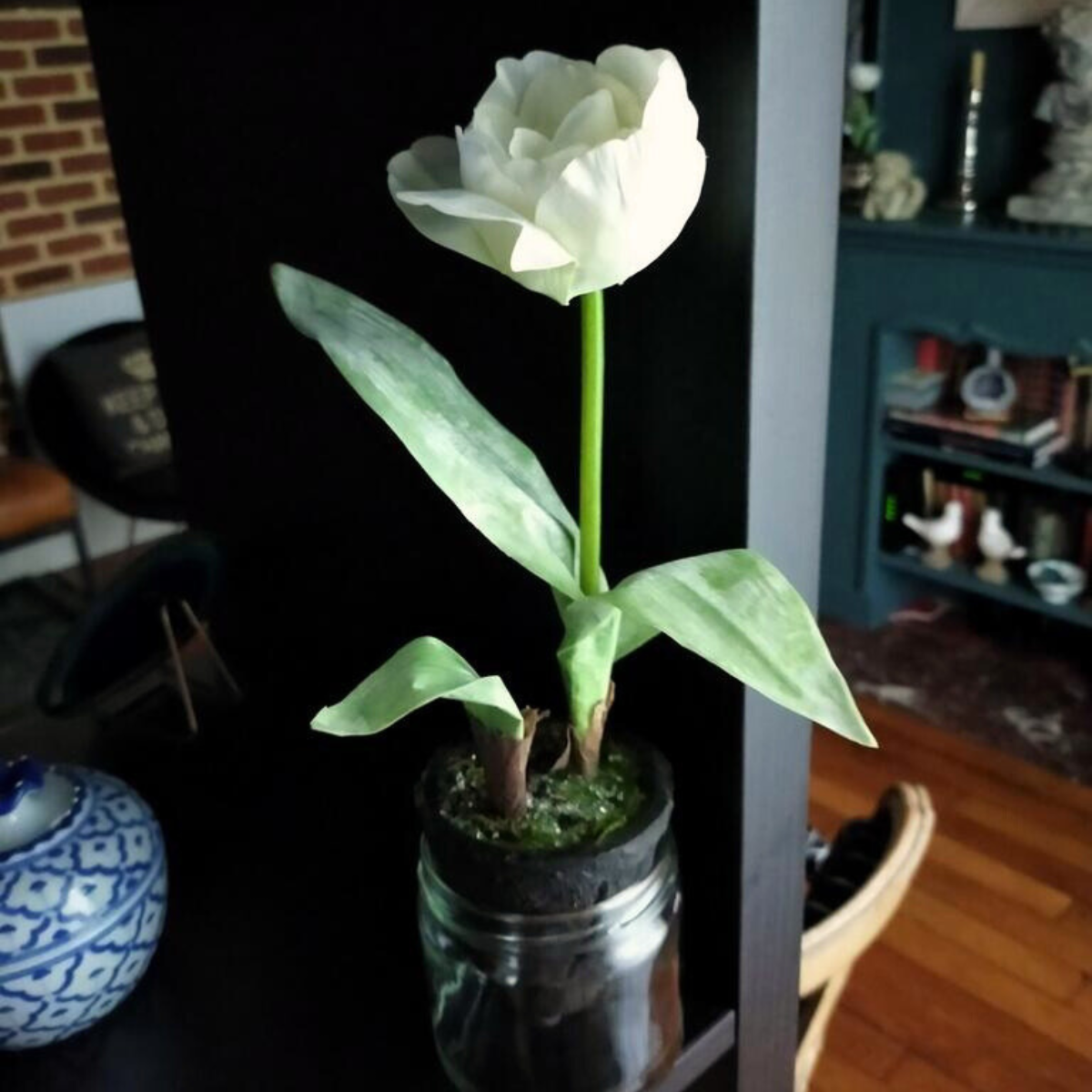 Tulipano smerigliato in vaso