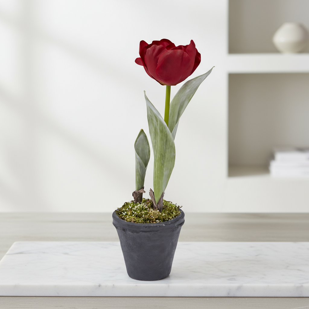 Tulipano smerigliato in vaso