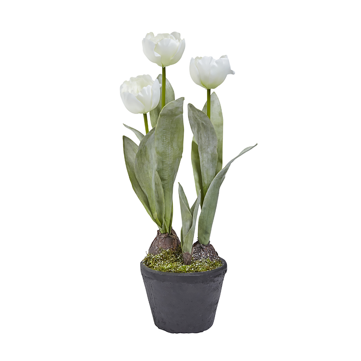 Tulipano artificiale e realistico in vaso – Altezza: 26 cm – Grande selezione – Alta qualità & Sensazione – Pianta artificiale (arancio, fiore aperto Tulipano artificiale e realistico in vaso – Altezza: 26 cm – Grande selezione – Alta qualità & Sensazione – Pianta artificiale (arancio, fiore aperto