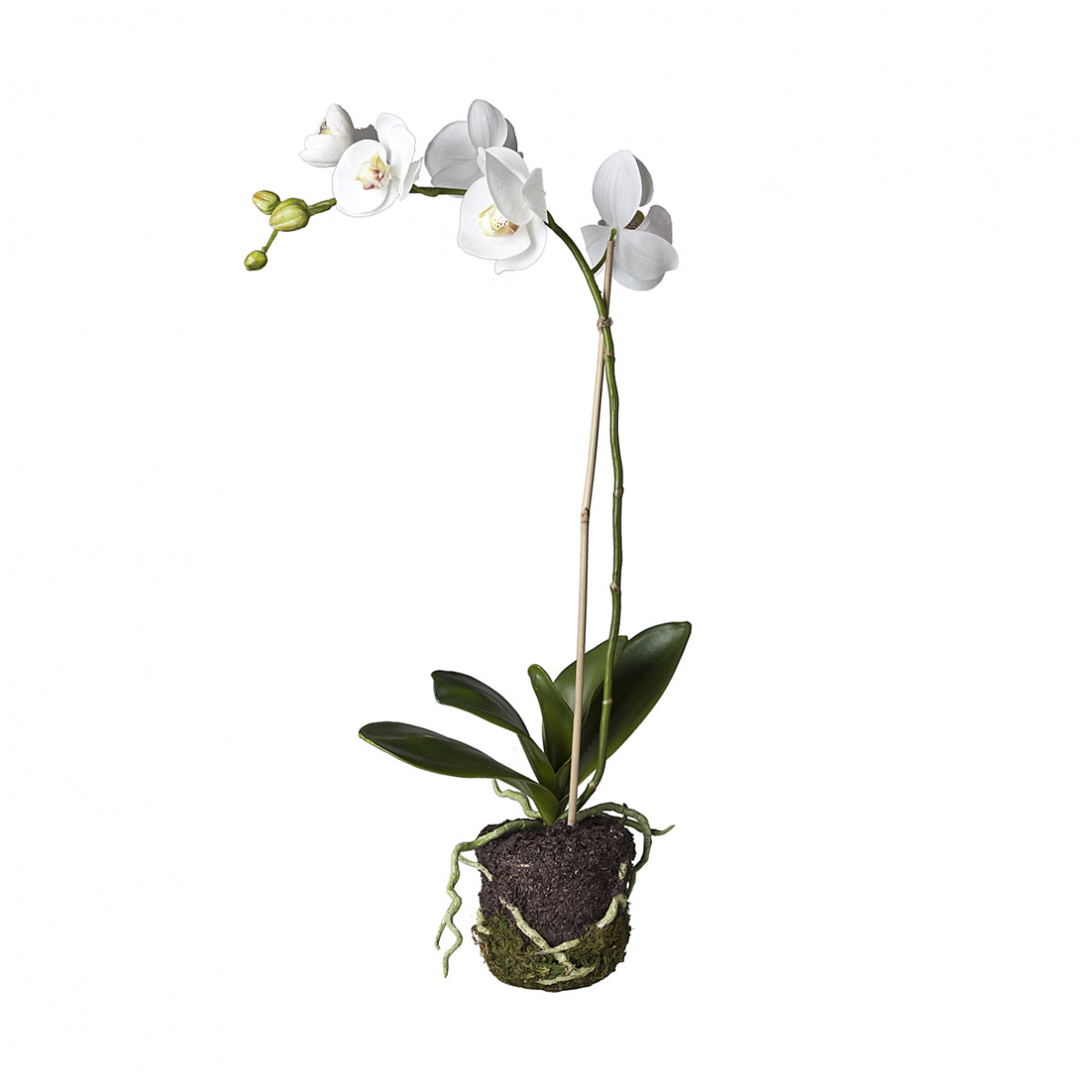 Orquídea artificial de tierra H59