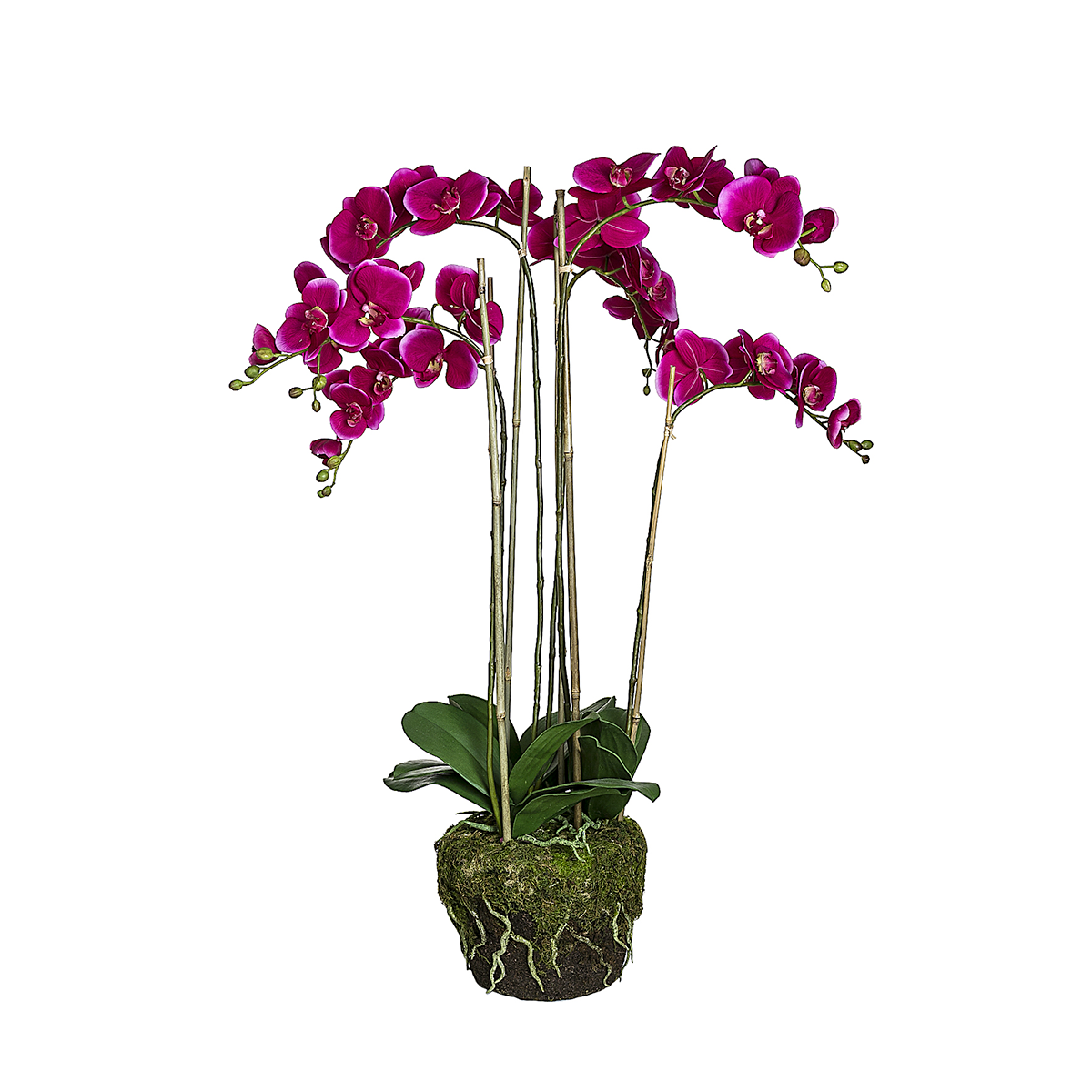 Orquídea artificial de tierra H100