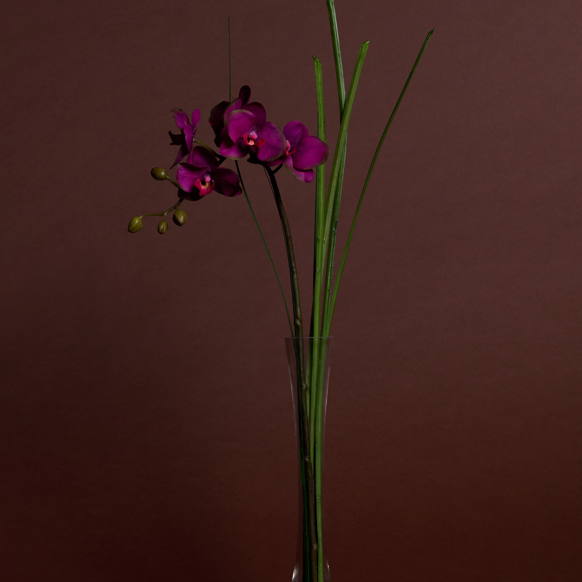 Orchidée Artificielle en Illusion d'Eau