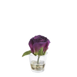 Rose in Water Illusion Stones