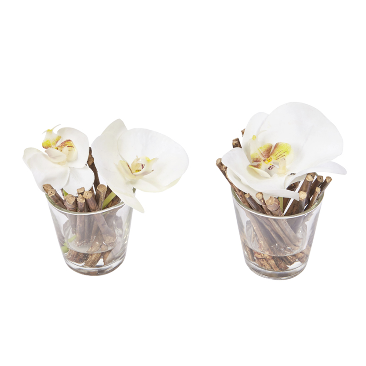 Orchidées Artificielles en Illusion d'Eau Sissi