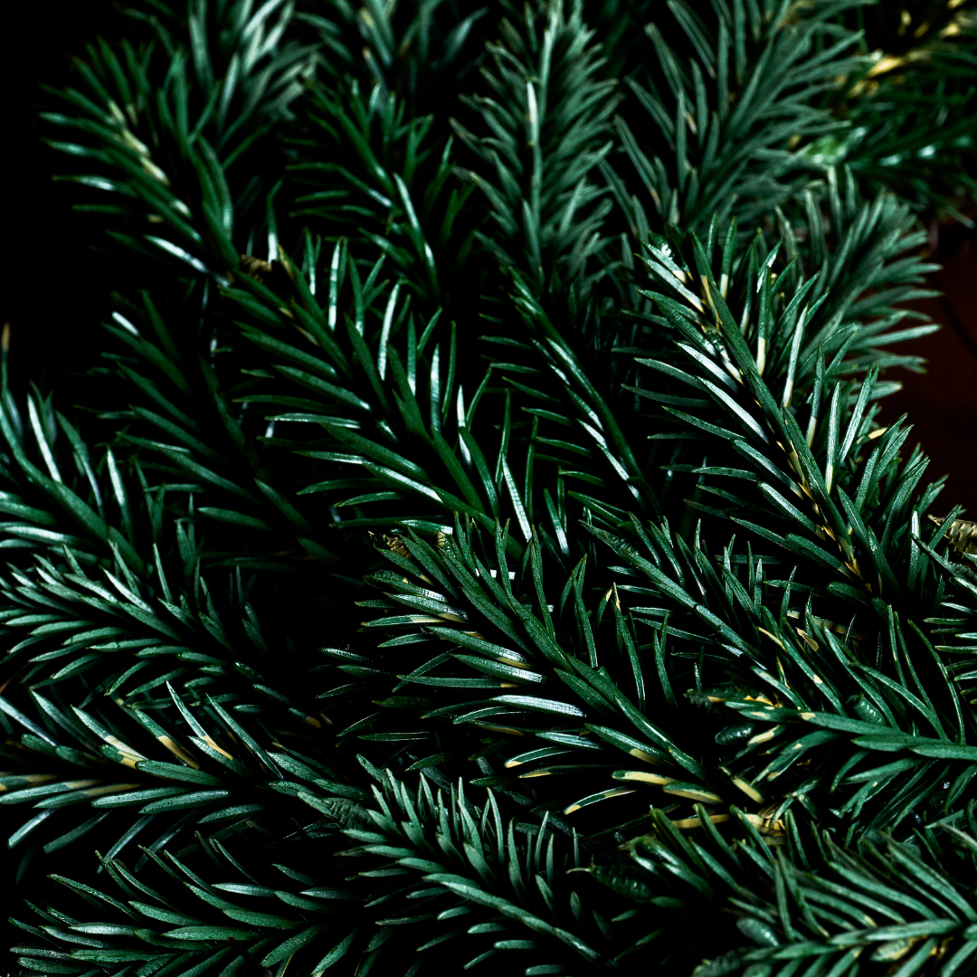 Couronne de Noël en Pin Artificiel Vert