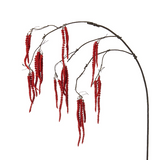 Amaranth Cascading Foliage