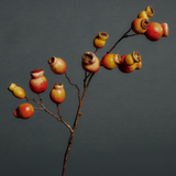 Branche Églantier 64 cm