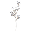 Branche de Baies bleutées