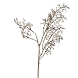 Dried Pine Branch Christmas