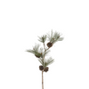 Branche de Pin enneigée