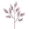 Feuillage de Glycine Givré