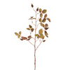 Hawthorn Foliage