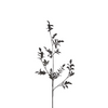 Branche de Baies avec Feuilles