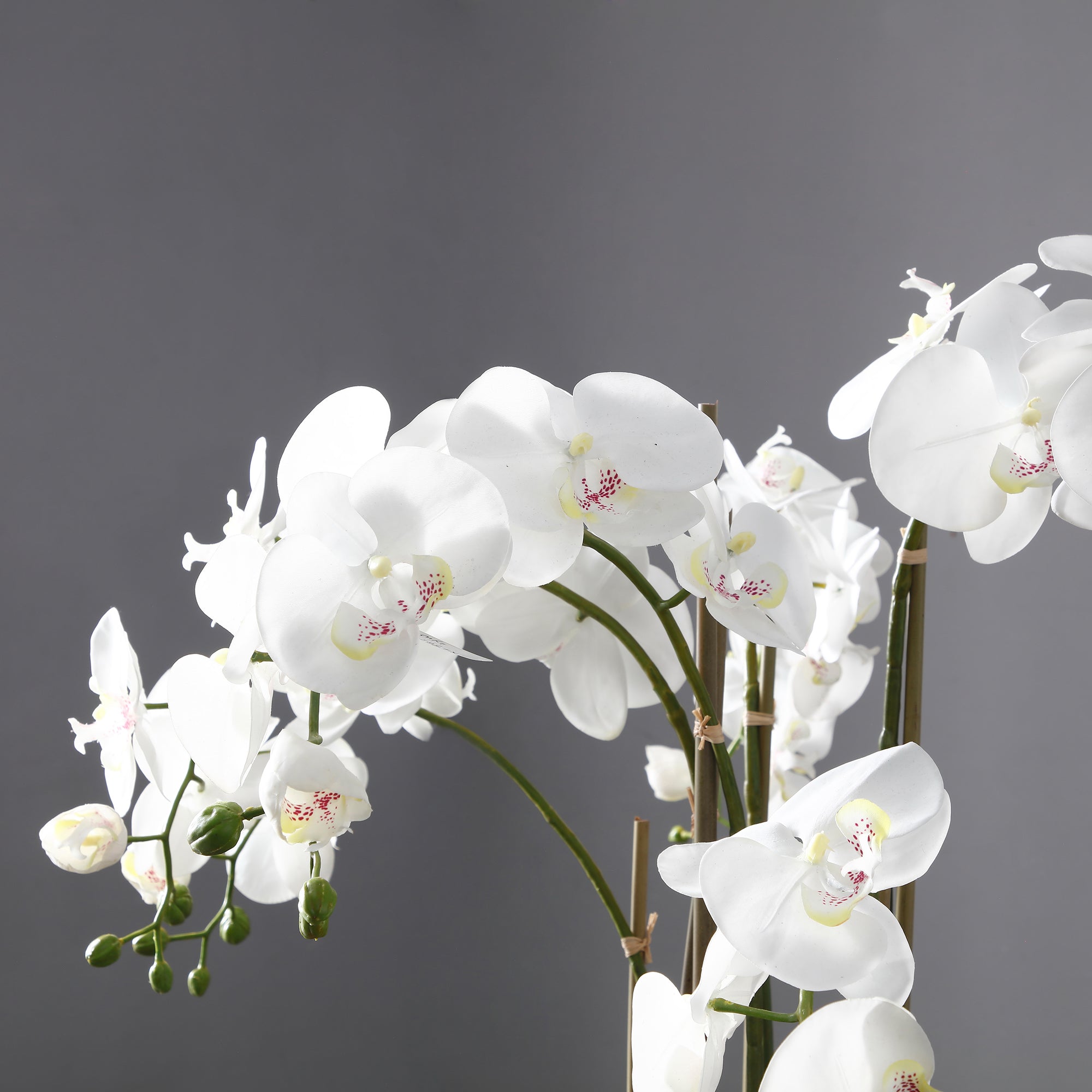 Orchidea Artificiale in Vaso d'Argilla H63