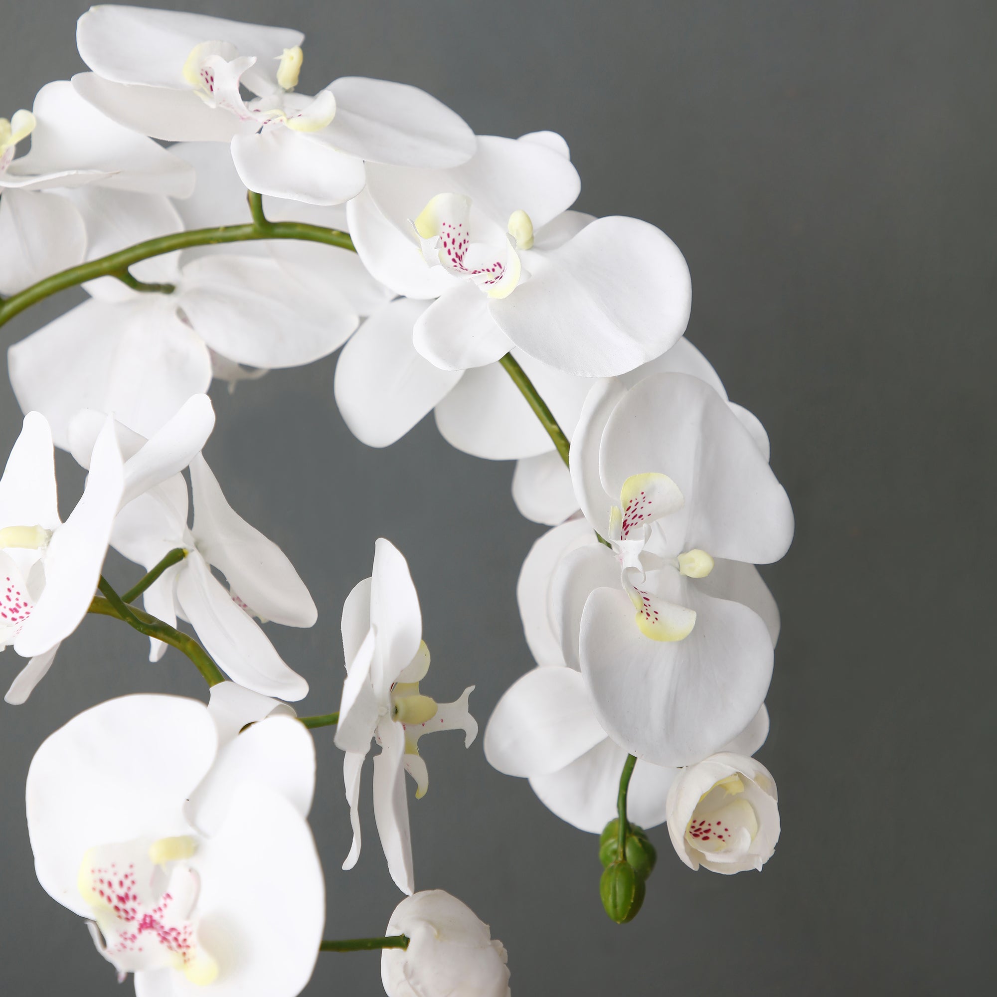 Orchidée Artificielle en Terre Moyen format