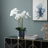 Artificial Orchid in Soil Medium Size