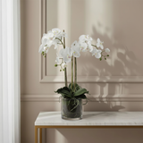 Artificial Orchid in Soil Medium Size