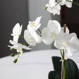 Artificial Orchid Composition Lena 2 branches