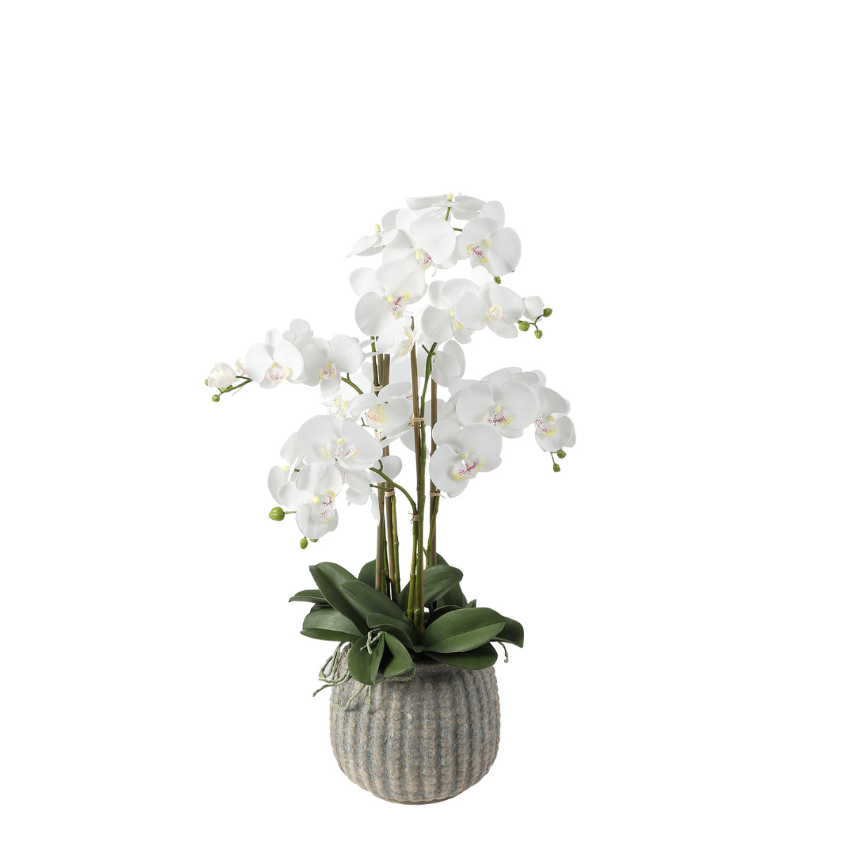 Orchidée Artificielle en Pot