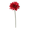 Gerbera SELENA