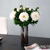 Stelo di Camelia con 2 boccioli