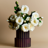 Tallo de Camelia con 2 capullos