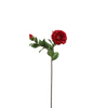 Camelia Stem
