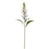 Digital Purple Stem