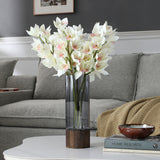 Cymbidium Orchid Stem