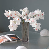 Orchid Stem Bandailan