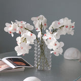 Orchid Stem Bandailan