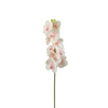 Orchid Stem Bandailan