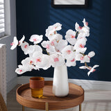 Phalaenopsis Orchid Stem