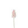 Phalaenopsis Orchid Stem