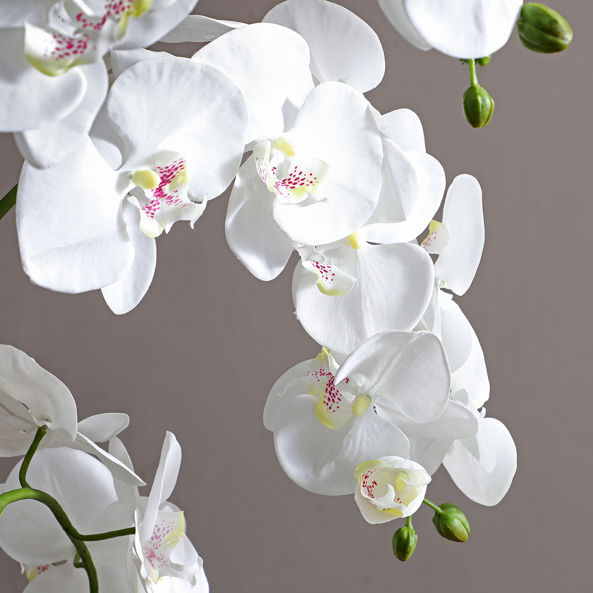 Composición de Orquídeas Artificiales con Jarrón Transparente de Gran Formato
