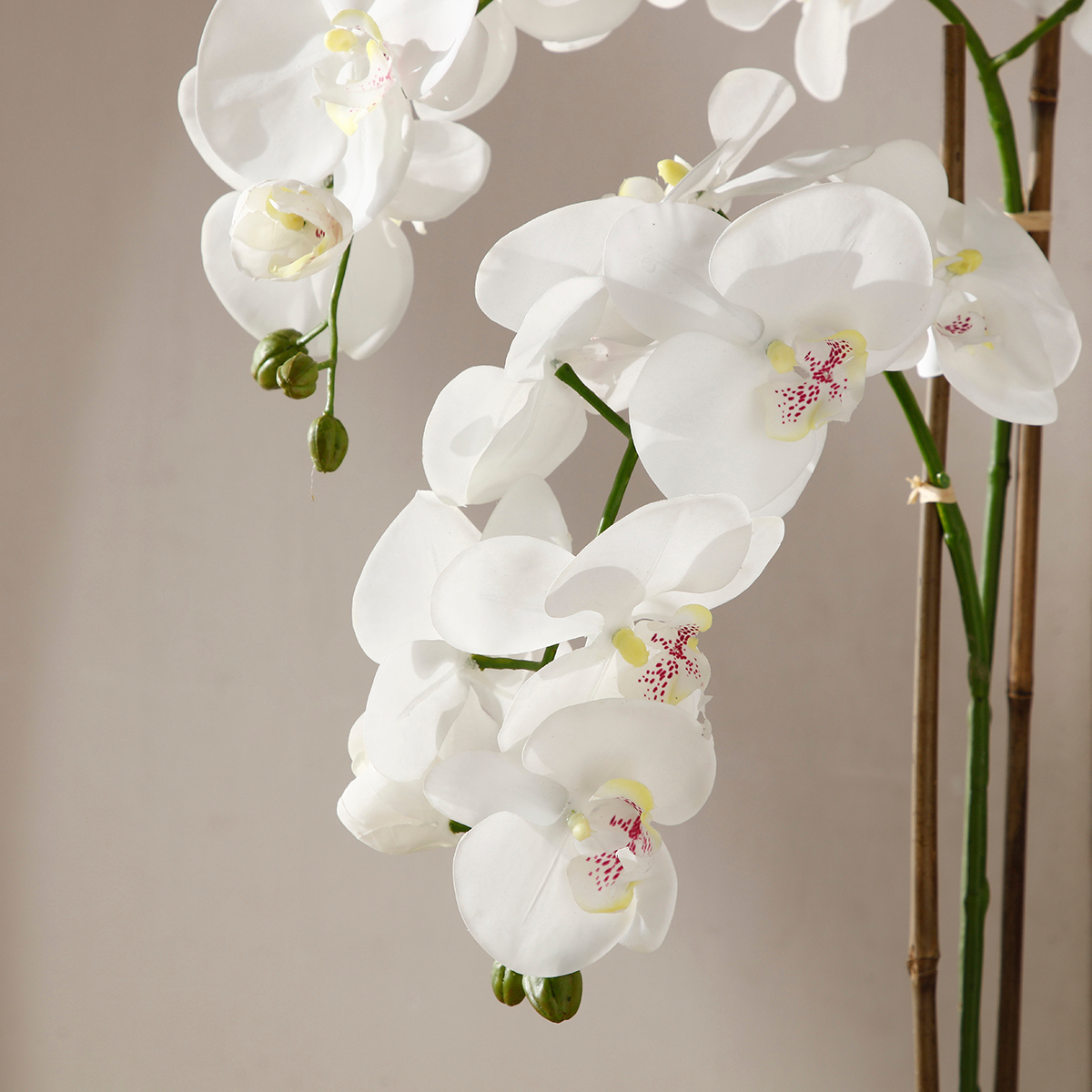 Composición de Orquídea Artificial con jarrón transparente Formato Medio