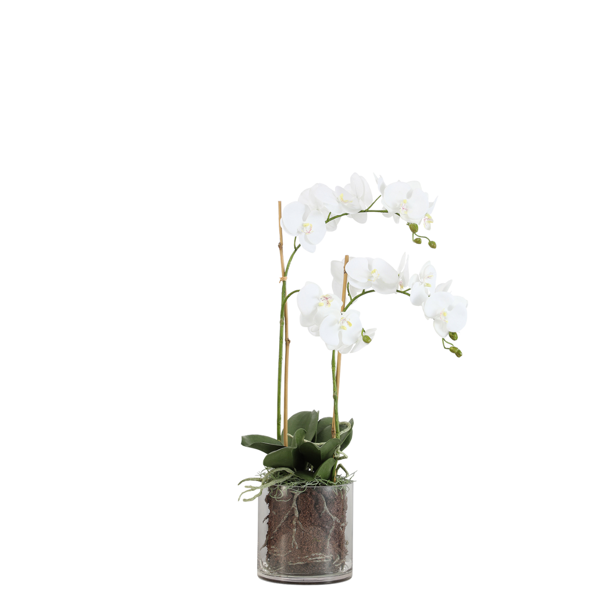 Composición Orquídea Artificial con jarrón transparente Pequeño Formato