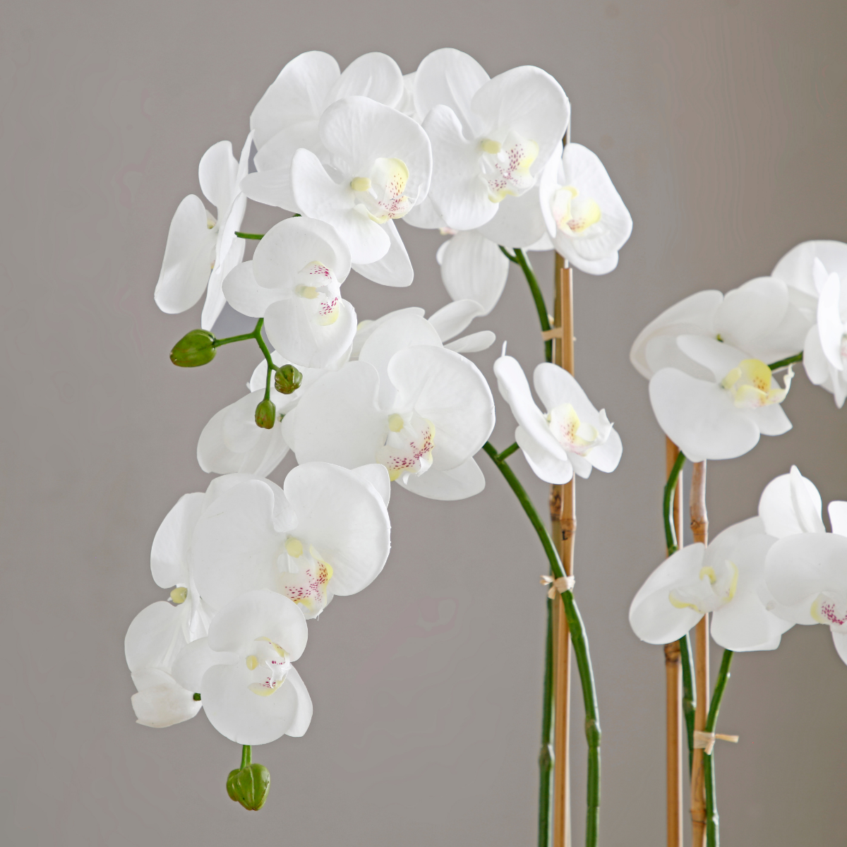 Composición de Orquídeas Artificiales con Jarrón Dorado de Gran Formato