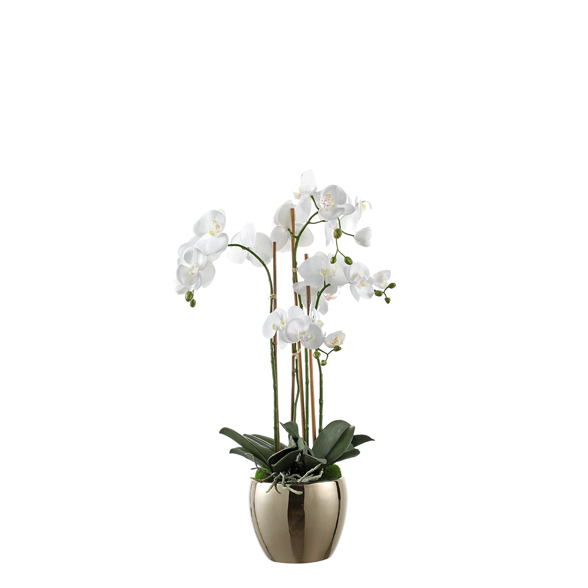 Composition d'Orchidée Artificielle avec vase doré Petit Format