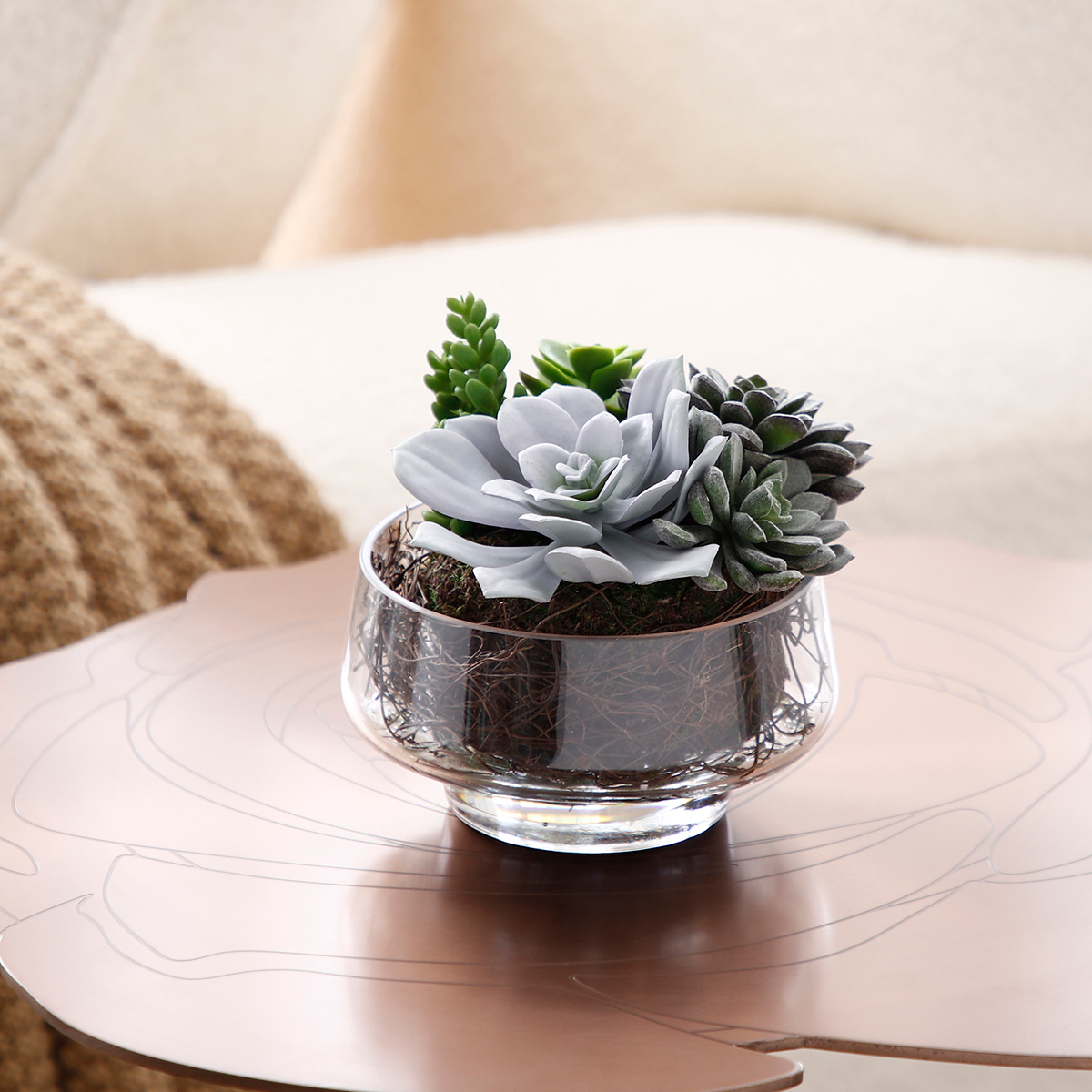 Composition de Succulentes en vase transparent Grand format