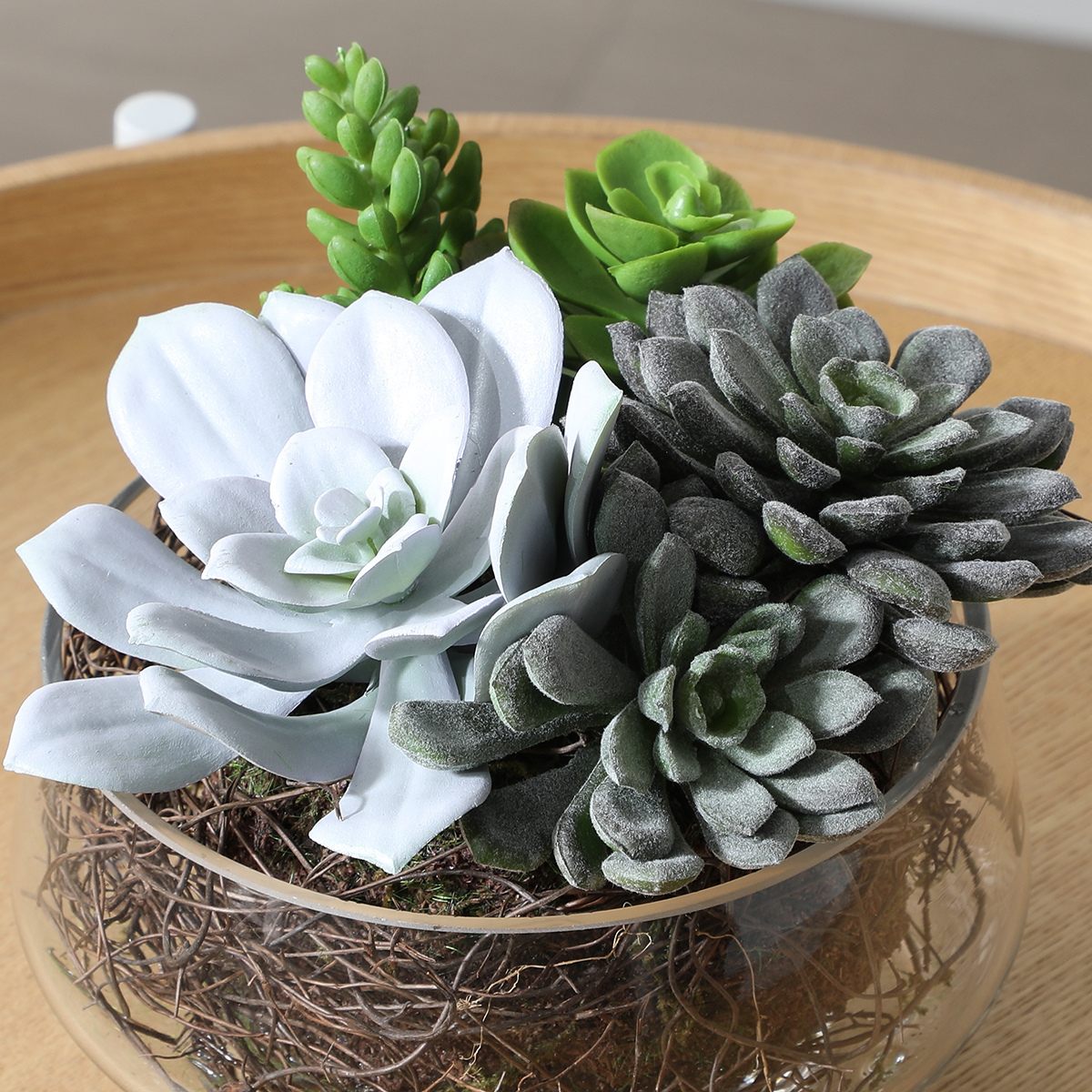 succulent composition Composition of Succulents in Large Transparent Vase – Sia Deco