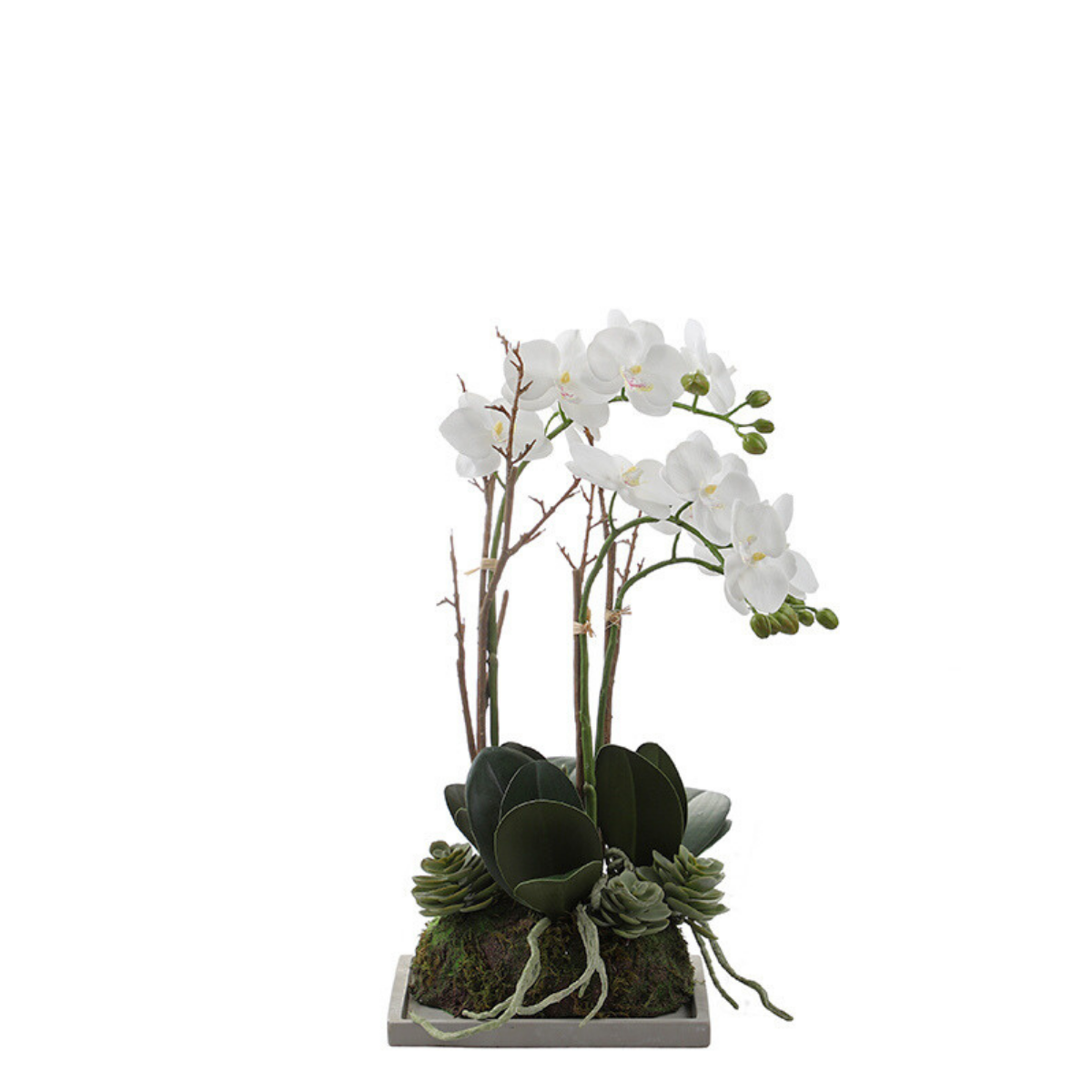 Composition d'Orchidée Artificielle et de Succulentes
