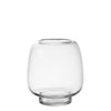 Transparent Bulb Vase