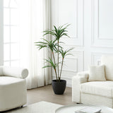 Yucca Tree in Pot 155 cm