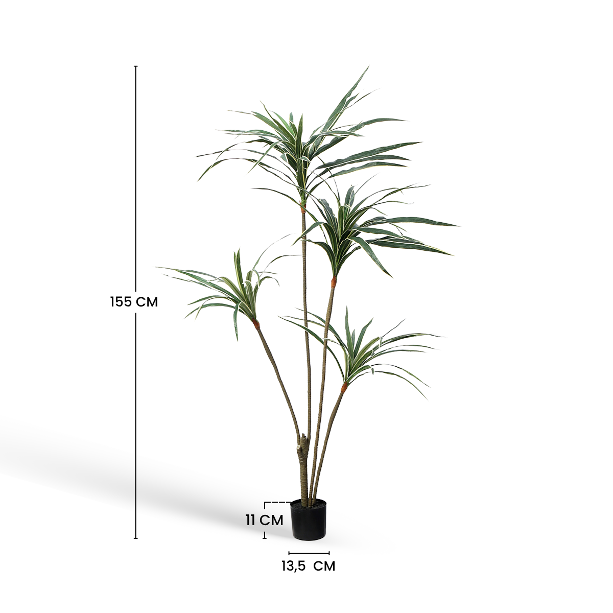Albero di Yucca in vaso 155 cm