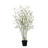 Bamboo Tree in Pot 125cm
