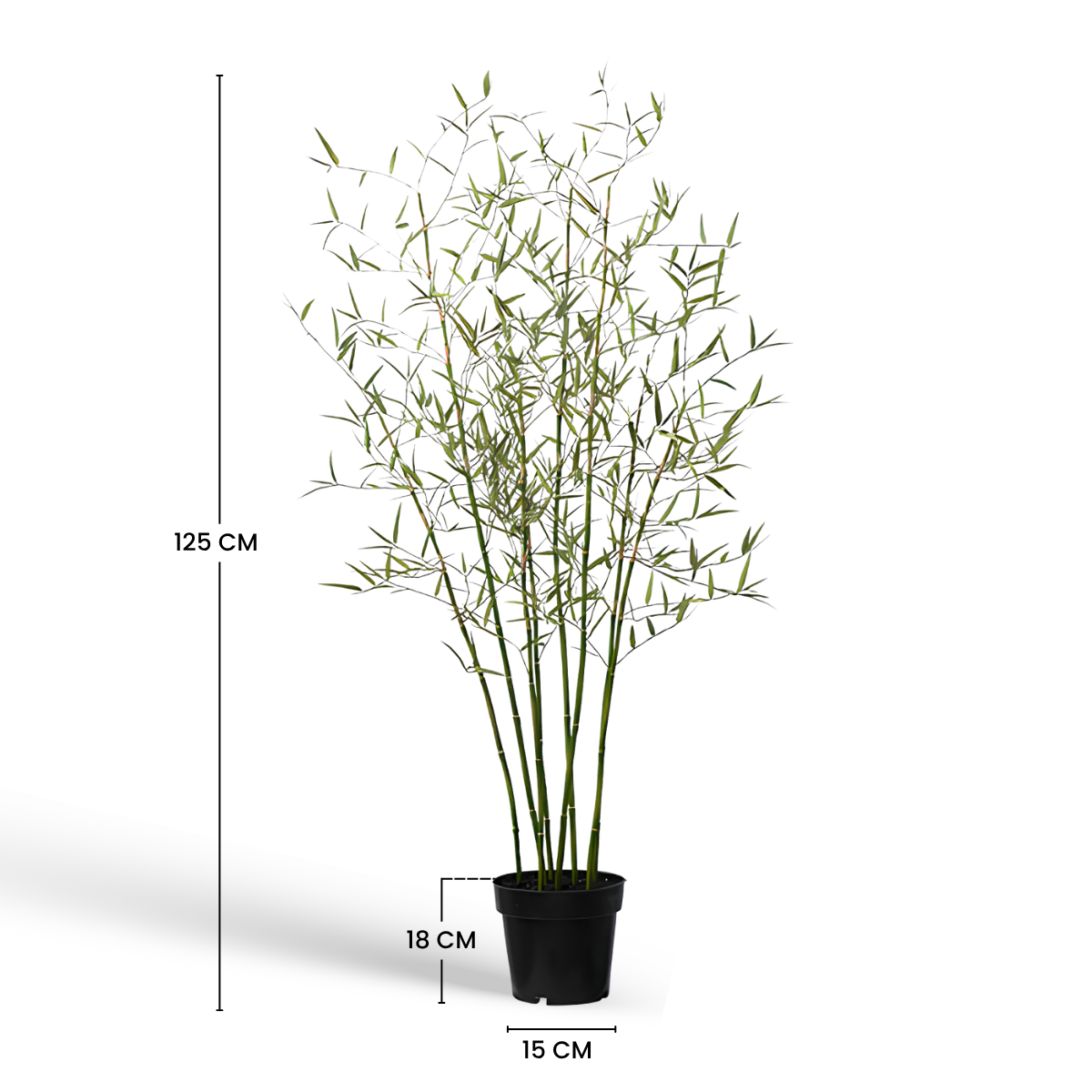 Albero di bambù in vaso 125 cm