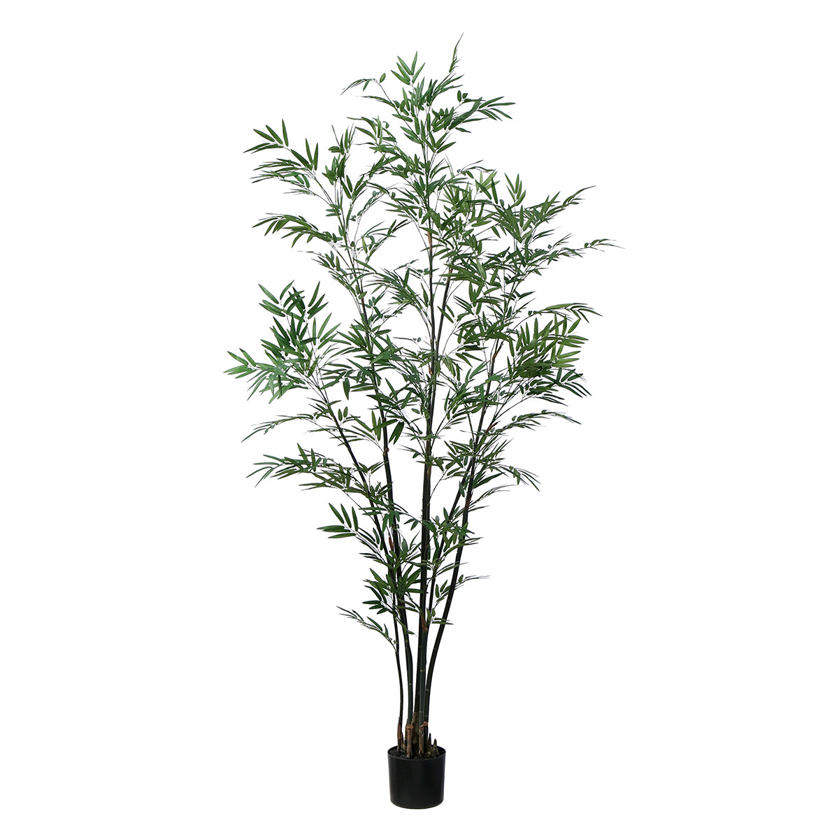 Arbre Bambou en Pot 210cm